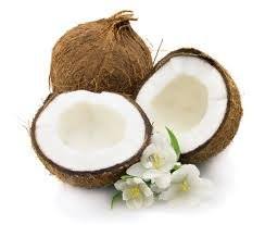 Image result for coconuts