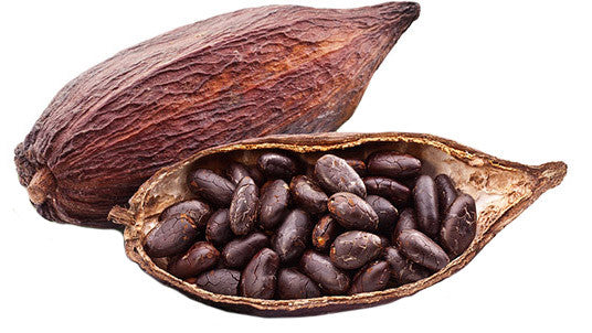 Image result for cacao nibs